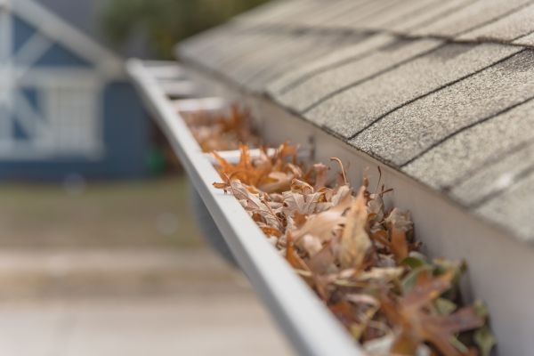 Leaf Barrier Installation in West Chester
