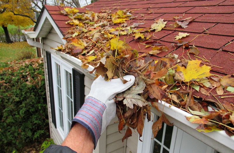 Spring Gutter Maintenance